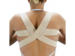 Imagen del producto Orliman espaldillera normal e240 talla 4