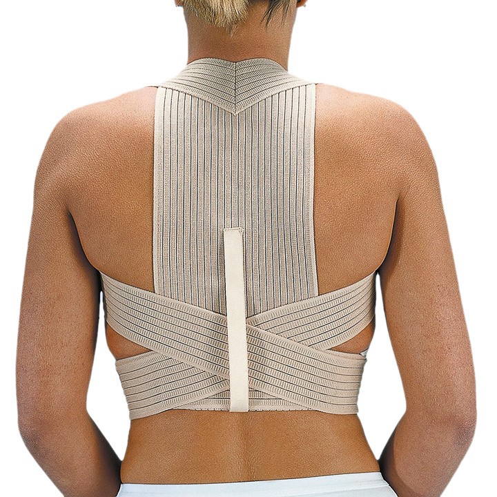 Imagen de Orliman espaldillera transpirable et210 talla 2