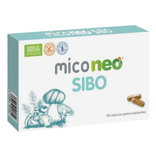 Imagen de Miconeo sibo 60 capsulas